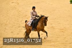 25R1516_01752 thumbnail
