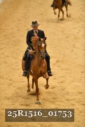 25R1516_01753 thumbnail