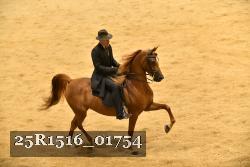 25R1516_01754 thumbnail