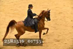 25R1516_01755 thumbnail