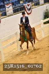 25R1516_01762 thumbnail
