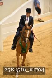 25R1516_01764 thumbnail