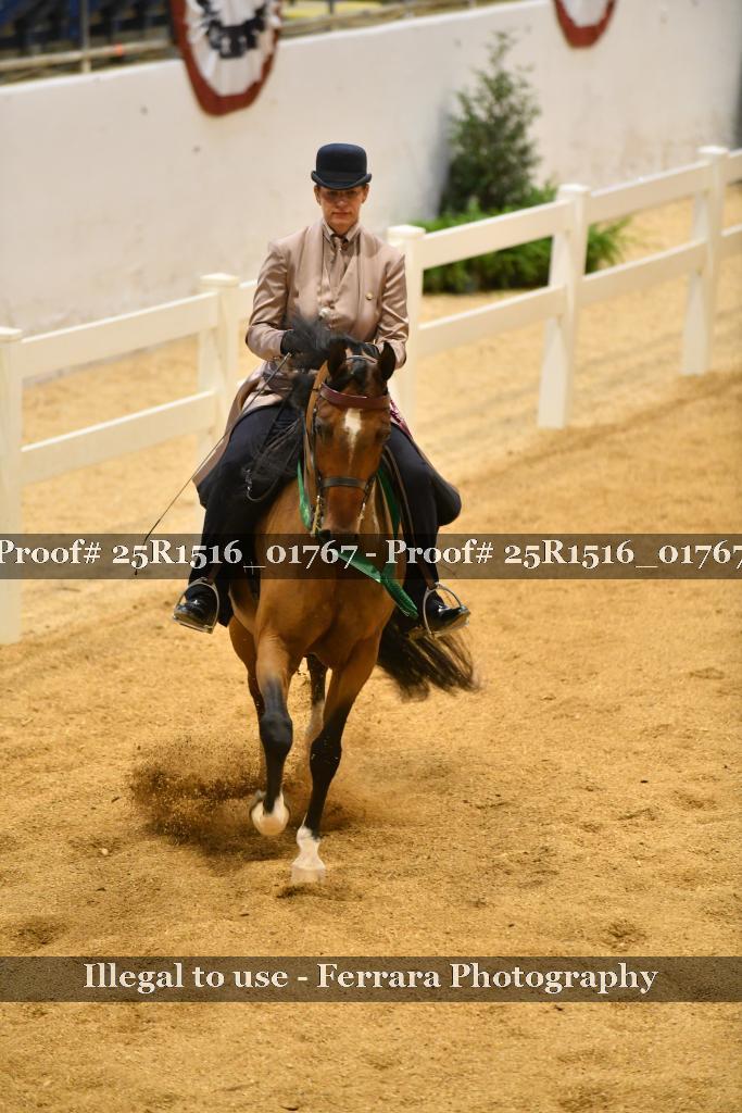 Proof Number 25R1516_01767