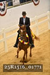 25R1516_01771 thumbnail