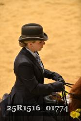 25R1516_01774 thumbnail