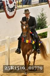 25R1516_01779 thumbnail