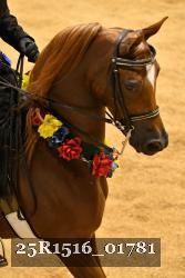 25R1516_01781 thumbnail