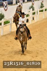 25R1516_01810 thumbnail