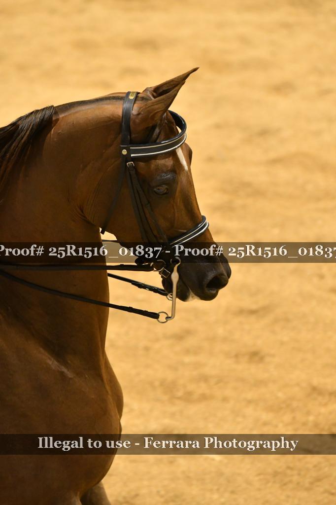 Proof Number 25R1516_01837