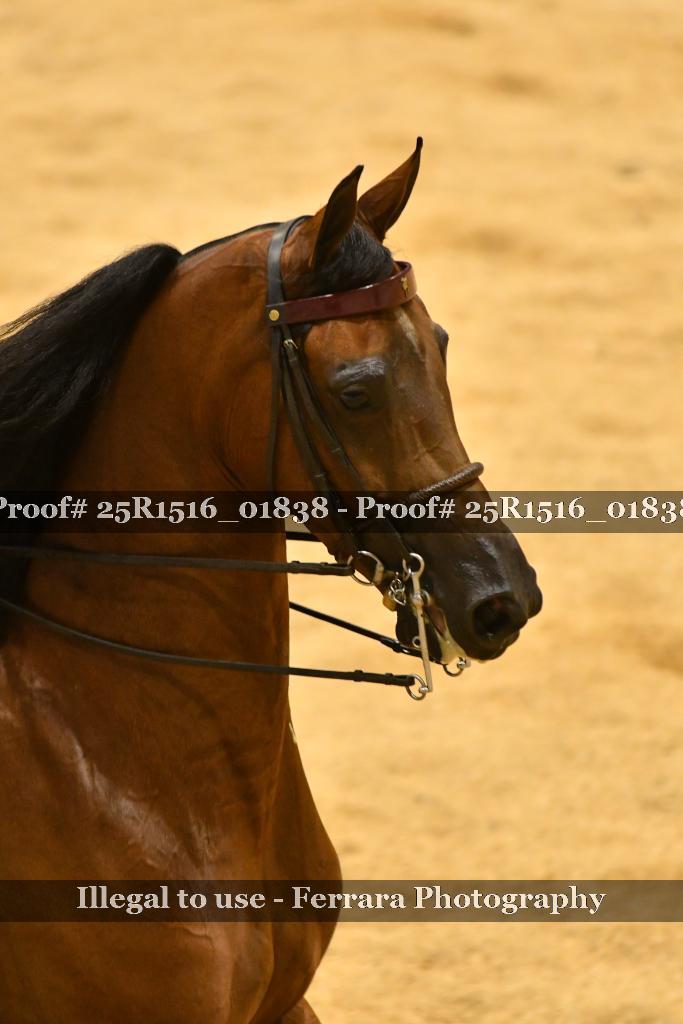 Proof Number 25R1516_01838