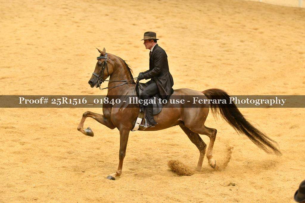 Proof Number 25R1516_01840
