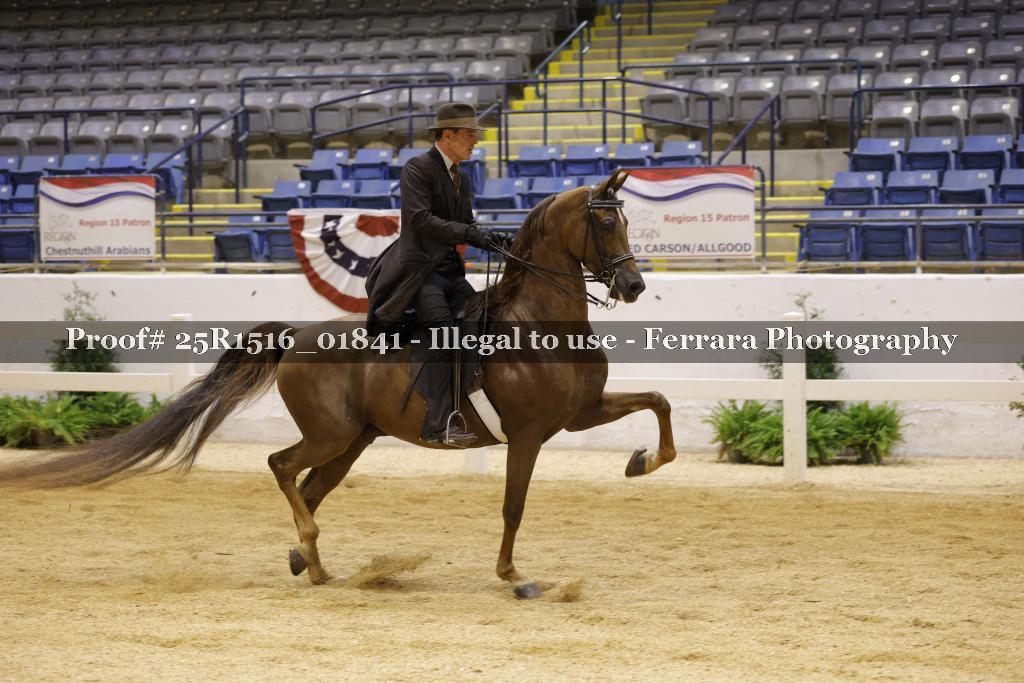 Proof Number 25R1516_01841