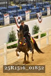 25R1516_01852 thumbnail