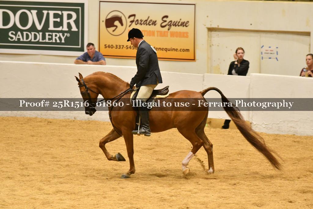 Proof Number 25R1516_01860