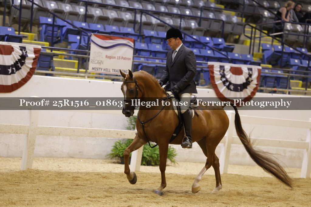 Proof Number 25R1516_01863