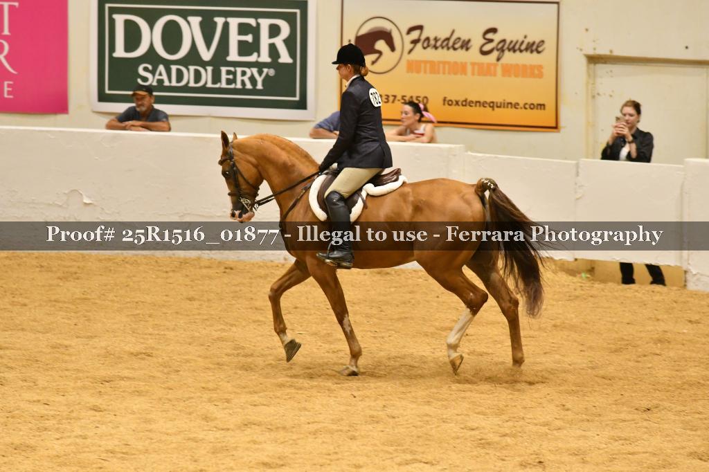 Proof Number 25R1516_01877