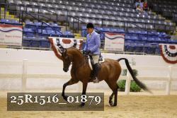 25R1516_01879 thumbnail