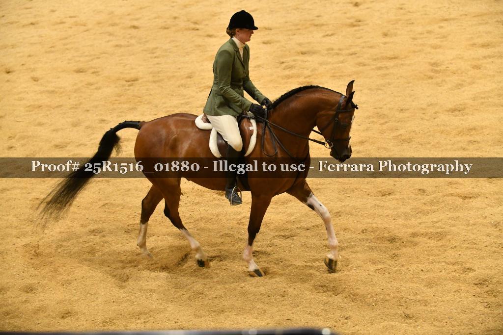 Proof Number 25R1516_01880