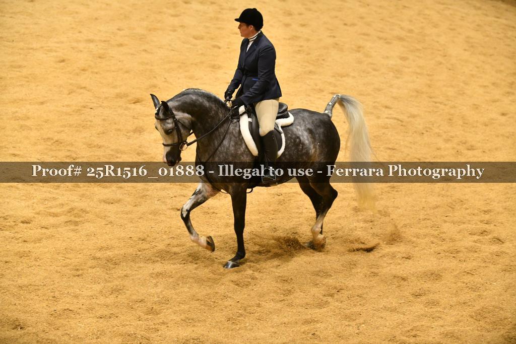 Proof Number 25R1516_01888