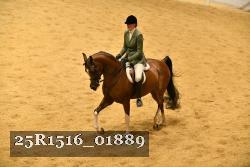 25R1516_01889 thumbnail