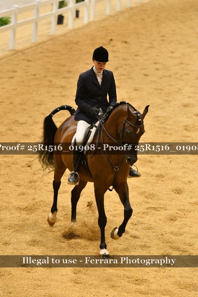 Proof Number 25R1516_01908