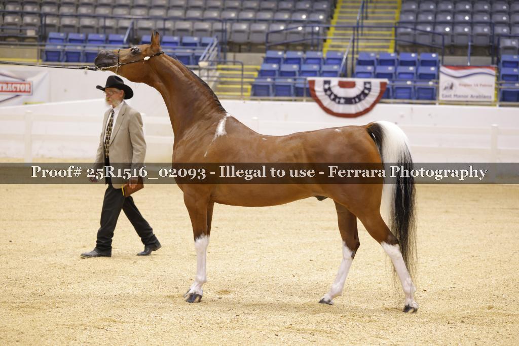 Proof Number 25R1516_02093