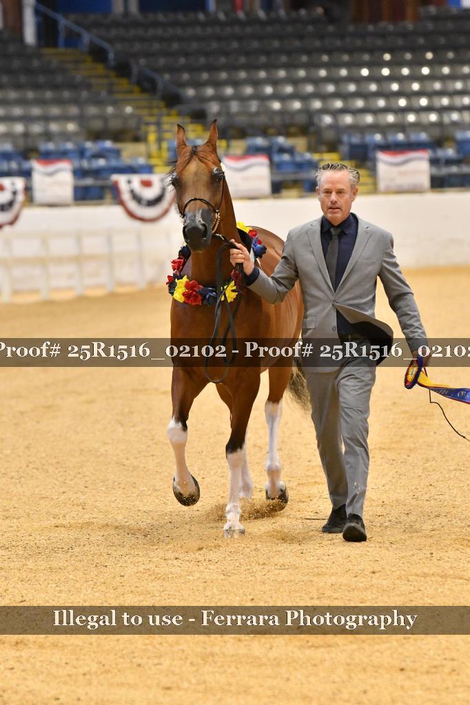 Proof Number 25R1516_02102