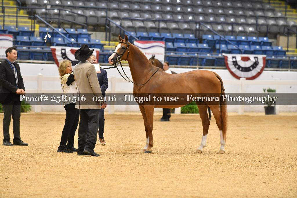 Proof Number 25R1516_02116