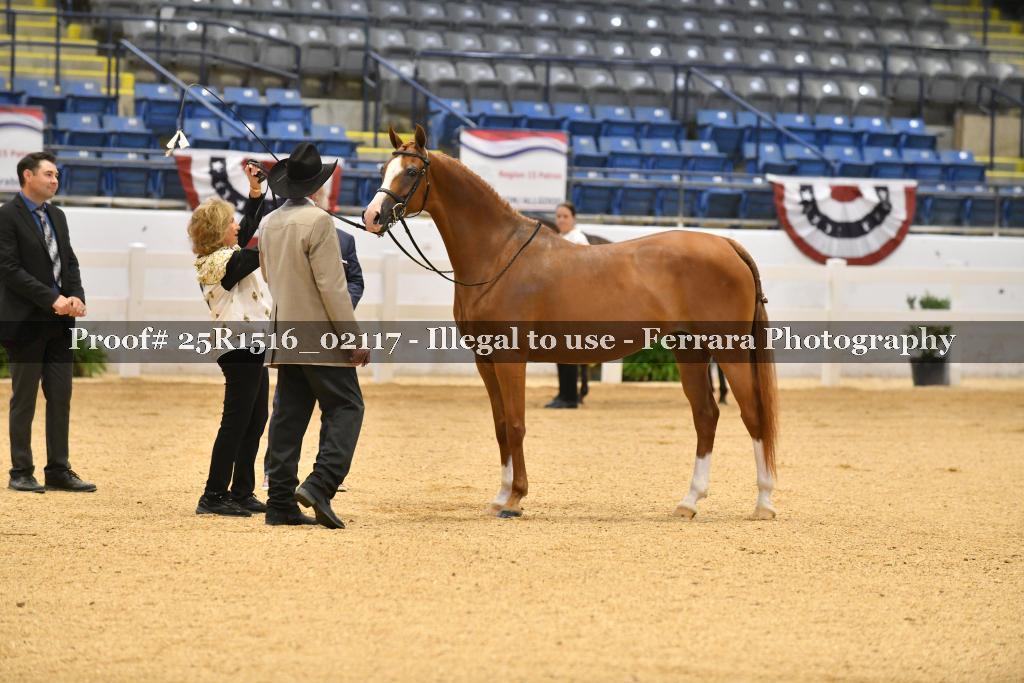 Proof Number 25R1516_02117