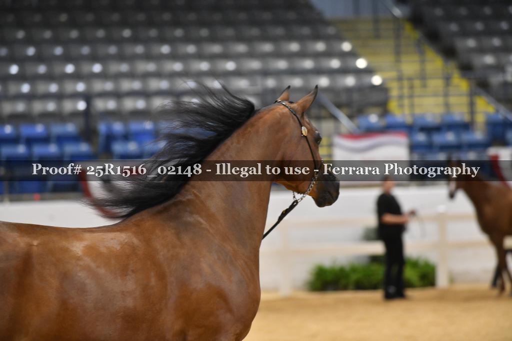 Proof Number 25R1516_02148