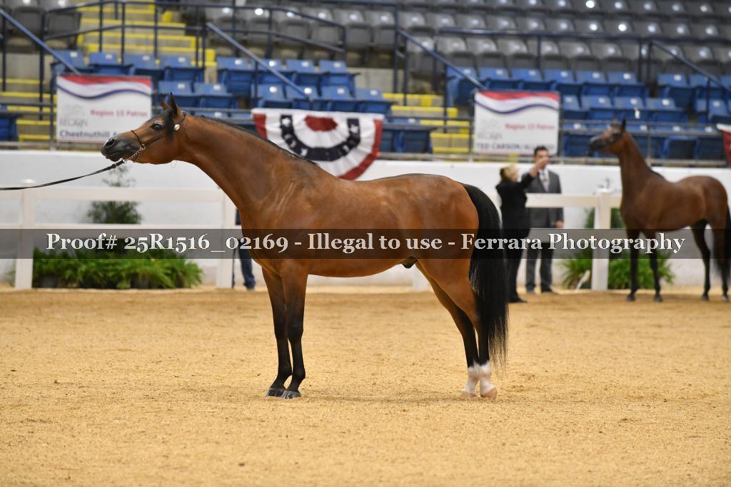 Proof Number 25R1516_02169
