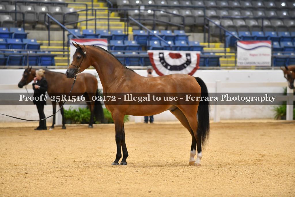 Proof Number 25R1516_02172