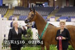 25R1516_02184 thumbnail