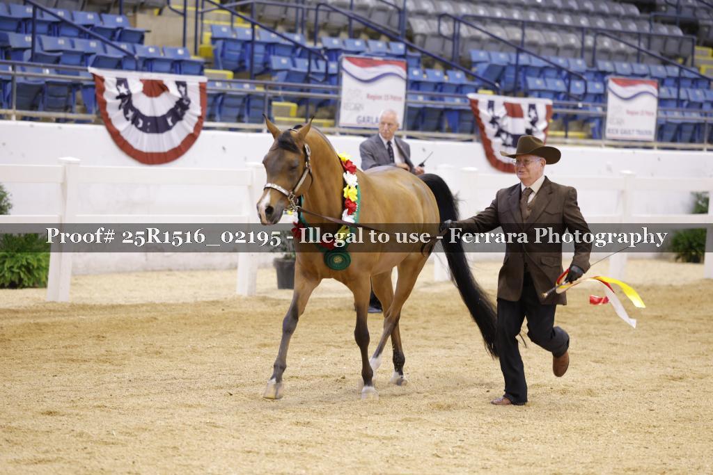 Proof Number 25R1516_02195