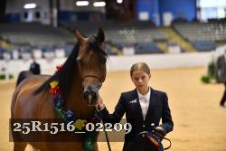25R1516_02209 thumbnail