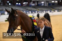 25R1516_02211 thumbnail