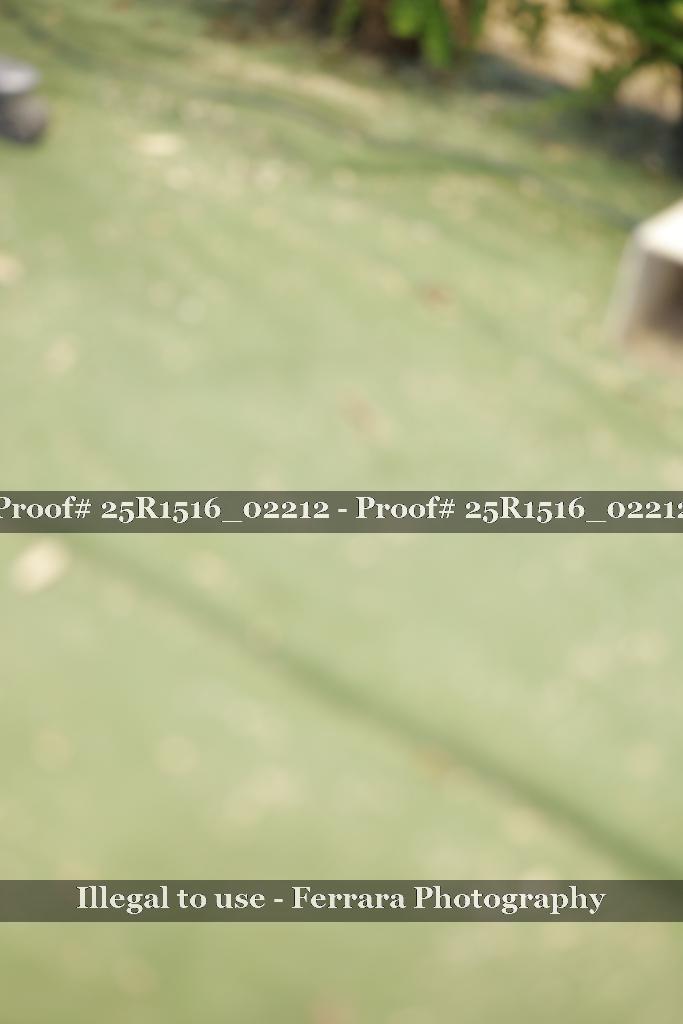 Proof Number 25R1516_02212