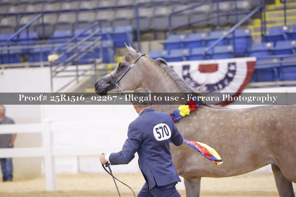 Proof Number 25R1516_02267