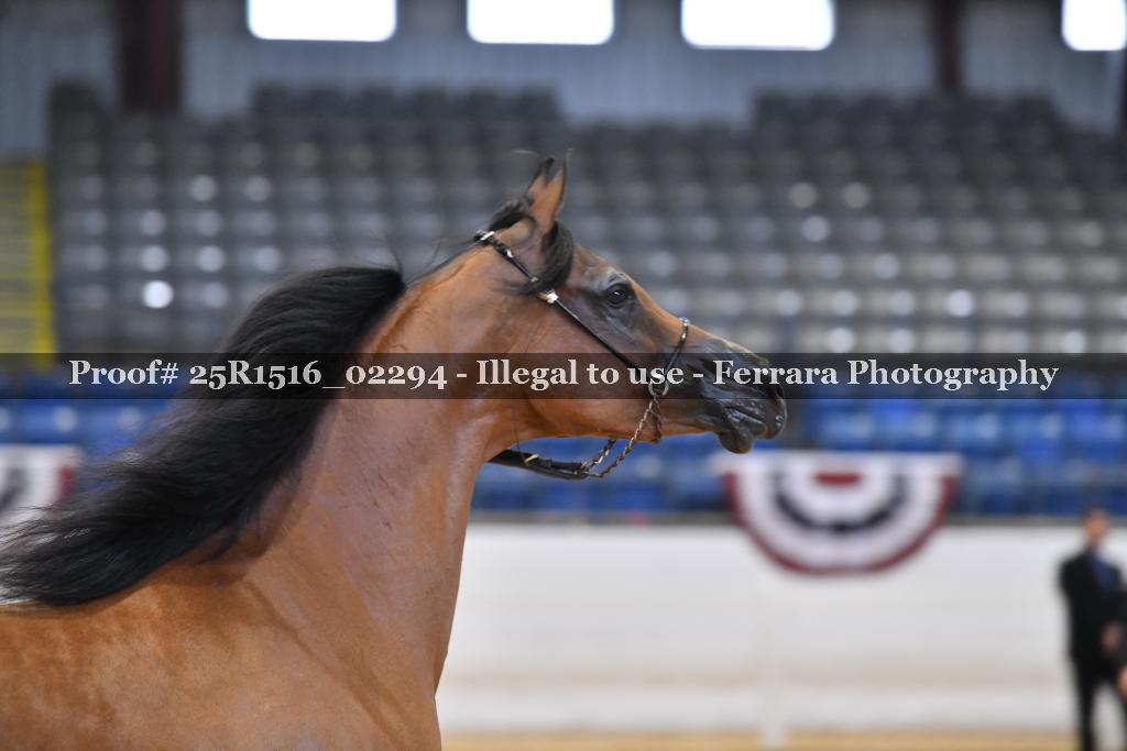 Proof Number 25R1516_02294