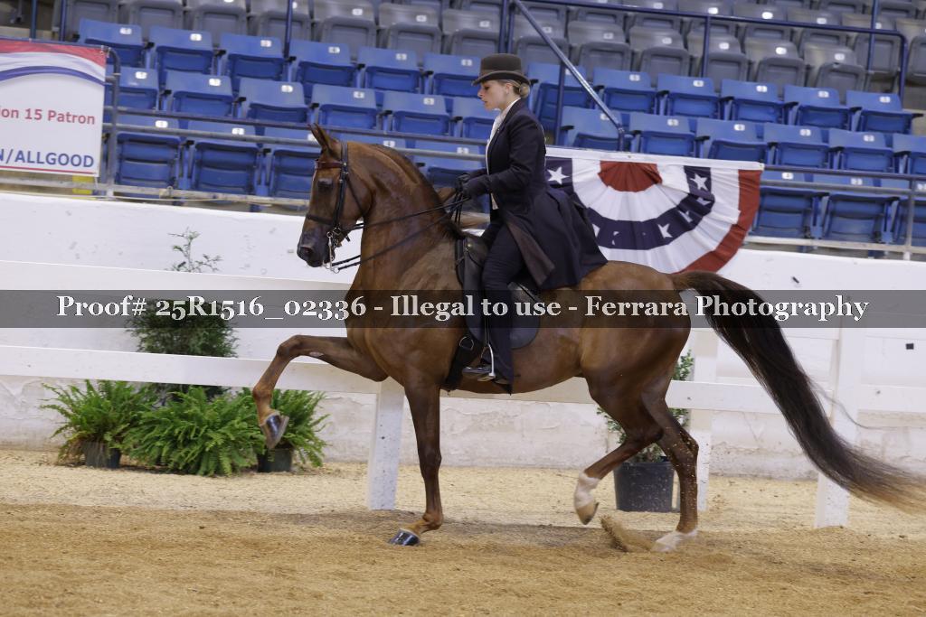 Proof Number 25R1516_02336