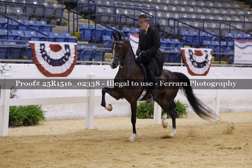 Proof Number 25R1516_02338