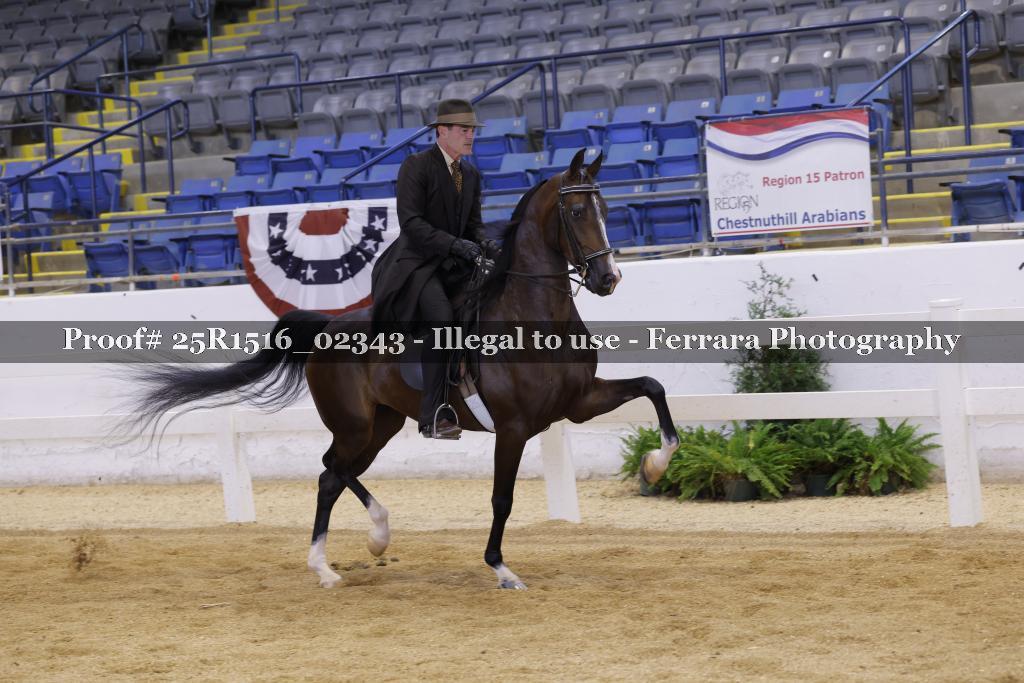 Proof Number 25R1516_02343