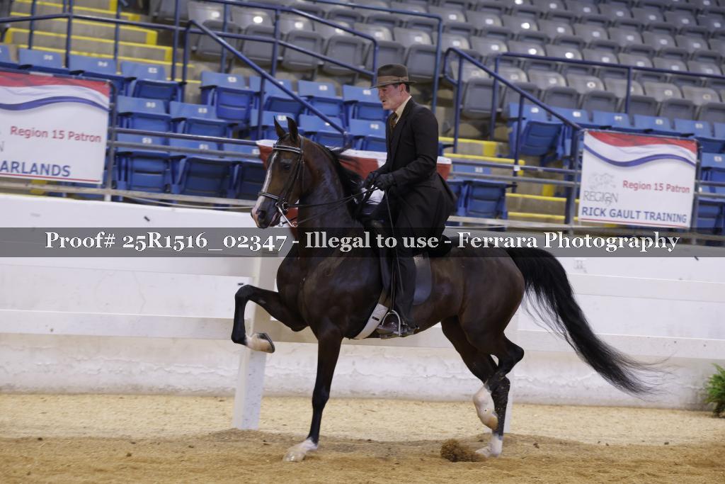 Proof Number 25R1516_02347