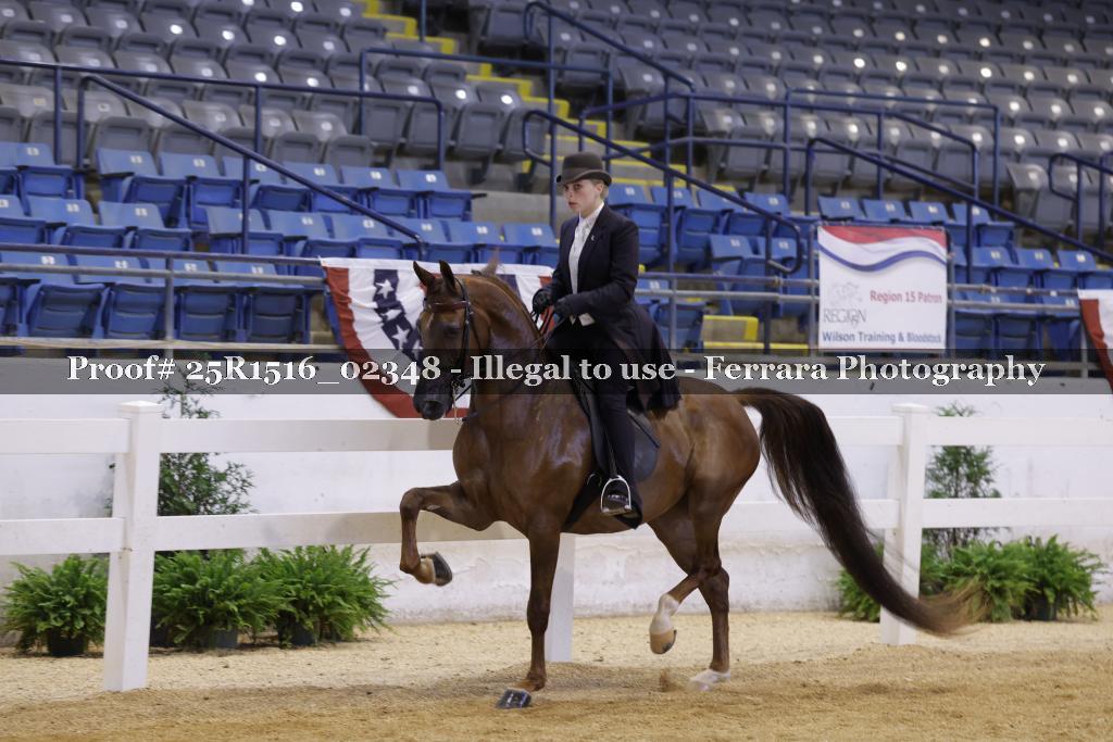 Proof Number 25R1516_02348