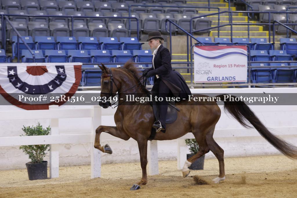 Proof Number 25R1516_02349