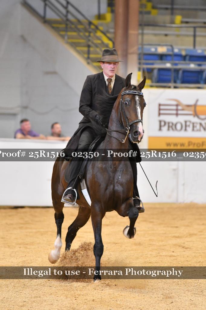 Proof Number 25R1516_02350