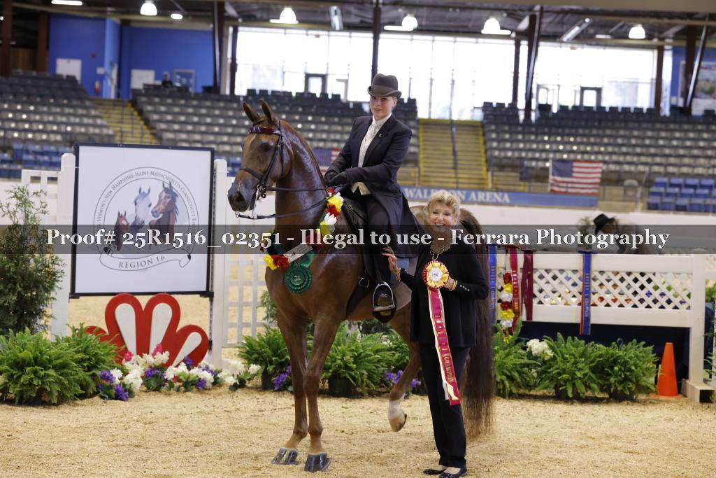 Proof Number 25R1516_02351
