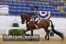 25R1516_02389 thumbnail