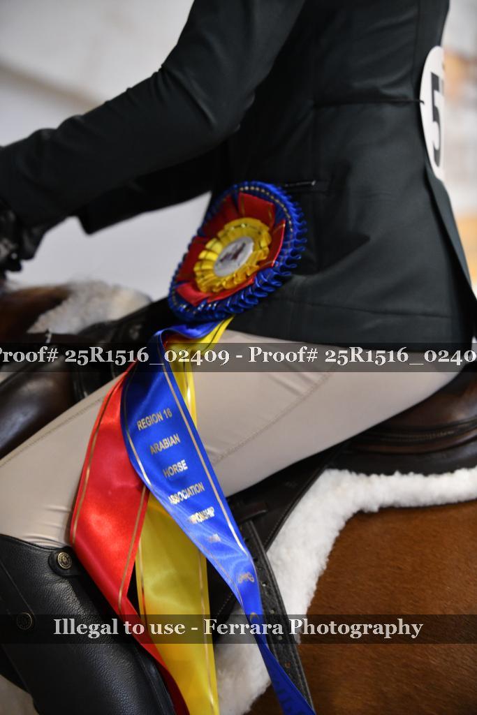 Proof Number 25R1516_02409