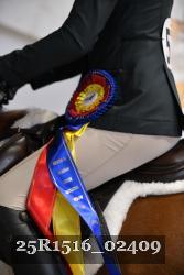 25R1516_02409 thumbnail